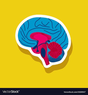 Brain paper sticker on stylish background vector image
