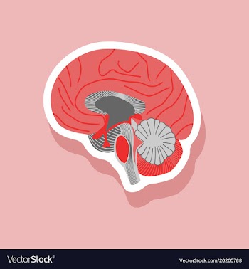 Brain paper sticker on stylish background vector image