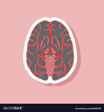 Brain paper sticker on stylish background vector image