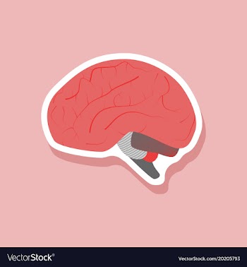 Brain paper sticker on stylish background vector image