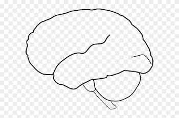 Brain Template Brain Outline Clip Art At Clker Vector - Outline Of The Human Brain