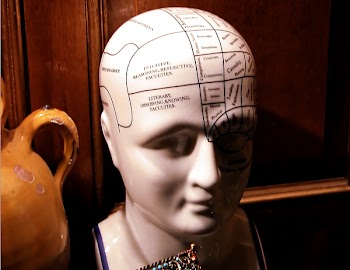 brainCN9902.jpg