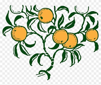 Branch Clip Art Download - Orange Tree Vector Art