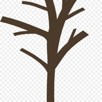 Branch Clip art Fall Tree Portable Network Graphics - tree 