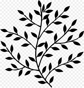Branch Clip art Image Vector graphics Bay laurel -  