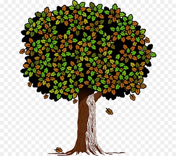 Branch Clip art Tree Oak Leaf - derive illustration 