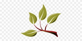 Branch Eco Green Leaf Leaves Plant Tree Br - Branch With Leaves Clipart