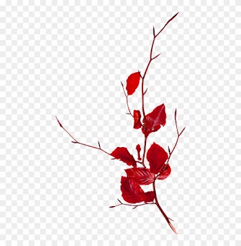 Branch Follaje Clip Art - Branch Follaje Clip Art