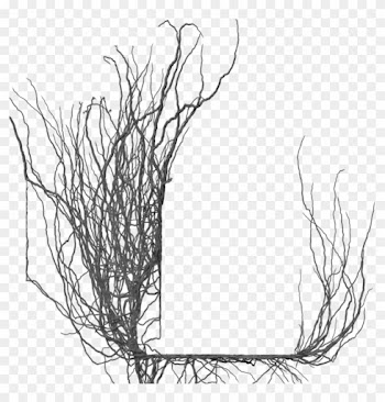 Branch Frame 02 By Brokenwing3dstock - Branch Frame Png