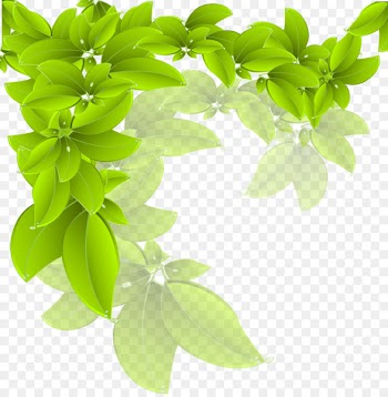 Branch Green Leaf - Vector leaves 