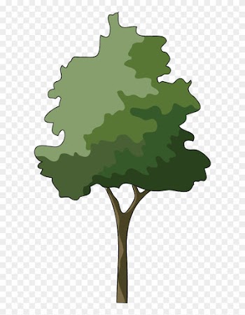 Branch Japanese Maple Tree Clip Art - Tree