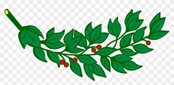 Branch, Laurel, Leaf, Leafy, Leaves - Branch Of Laurel