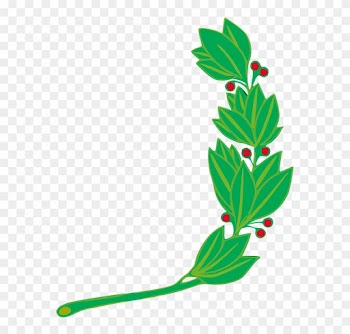 Branch, Laurel, Leaf, Leafy, Leaves - Peru Flag Symbol