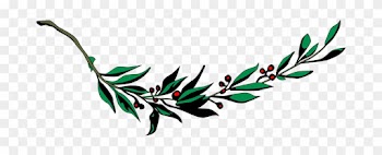 Branch Laurel Leaf Leafy Leaves Plant Bran - Coat Of Arms Of Cuba