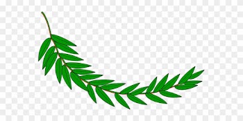 Branch Laurel Leaf Leafy Leaves Plant Bran - Hojas De Laurel Dibujo
