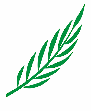 Branch Laurel Leaf Leafy Leaves Png Image - Laurel Leaves Png ...