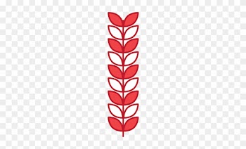 Branch Laurel Leaves Decoration Natural - Bay Laurel
