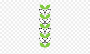Branch Laurel Leaves Decoration Natural - Branch Laurel Leaves Decoration Natural