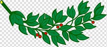 Branch Laurel wreath Bay Laurel , palm leaves transparent background PNG clipart
