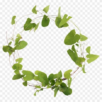 Branch Leaf Clip Art - Branch Leaf Clip Art