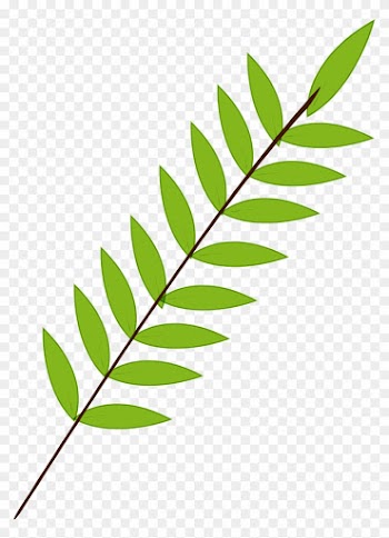 Branch Leaf Green - Leaf