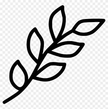 Branch Leaf Leaves Spring Decoration Nature Plant Comments - Leaf