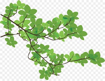 Branch Leaf Tree - branches 