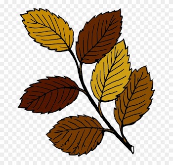 Branch, Leaf, Tree, Dead, Fall, Plant - Dead Leaves Clip Art