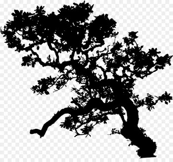 Branch, Leaf, Tree PNG