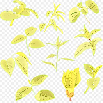 Branch, M 0d, Butterfly, Yellow, Leaf PNG