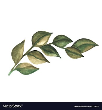 branch of green leaves painted in watercolor