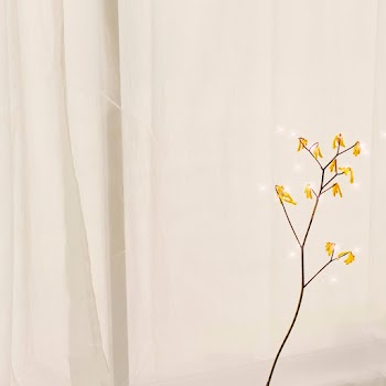 Branch pattern sparkle effect background