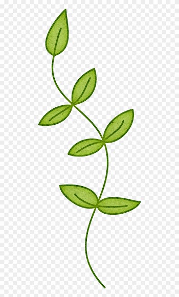 Branch Plant Stem Leaf Clip Art - Branch Plant Stem Leaf Clip Art