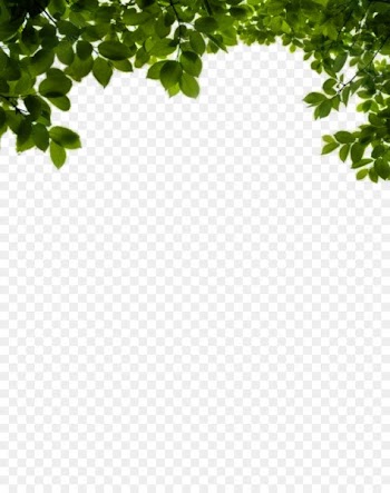 Branch Shrub Leaf Clip art - bushes 