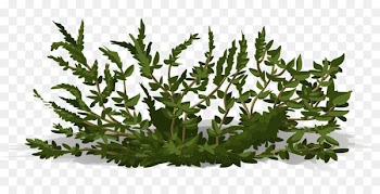 Branch Shrub Portable Network Graphics Image Garden - bushespng map 