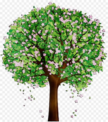 Branch Shrub Tree Plants Woody plant -  