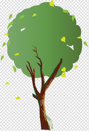 Branch Tree, Autumn tree transparent background PNG clipart