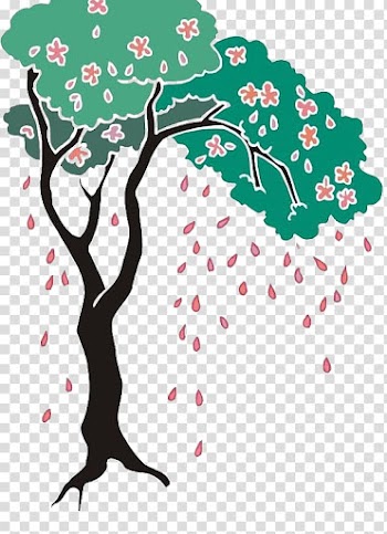 Branch Tree Drawing , Free falling Peach pull material transparent background PNG clipart