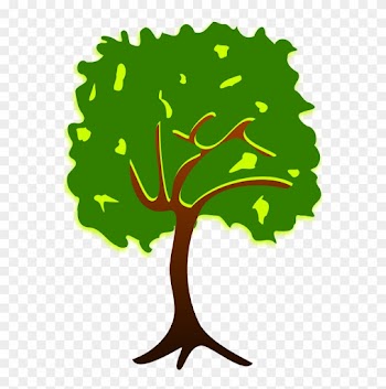 Branch Tree Drawing Plant Nature Story - Branch Tree Drawing Plant Nature Story