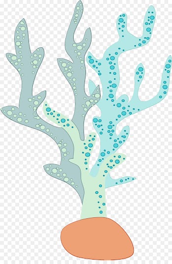 branch tree plant aquarium decor