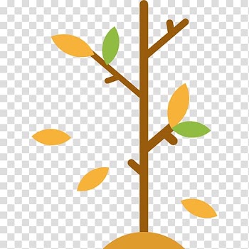Branch Tree Scalable Graphics Icon, Autumn leaves transparent background PNG clipart