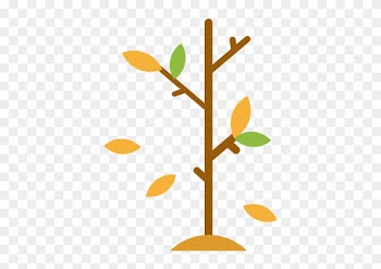 Branch Tree Scalable Vector Graphics Icon - Baby Tree Icon Png