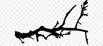 Branch, Tree, Silhouette, White PNG