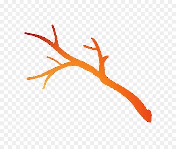 Branch Tree Vinyl group Phonograph record Clip art -  