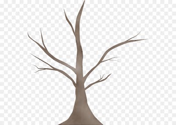 branch twig leaf tree plant