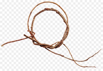 Branch Twig - Twigs Ring 
