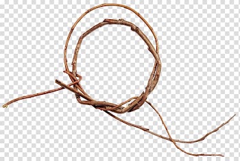 Branch Twig, Twigs Ring transparent background PNG clipart