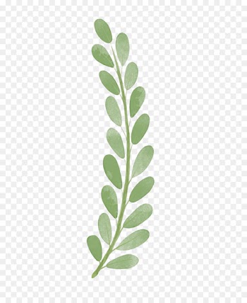 Branch Wallpaper - Watercolor leaves 