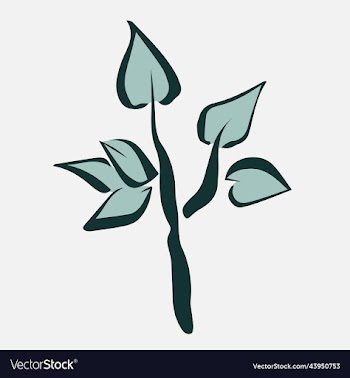branch with big green leaves