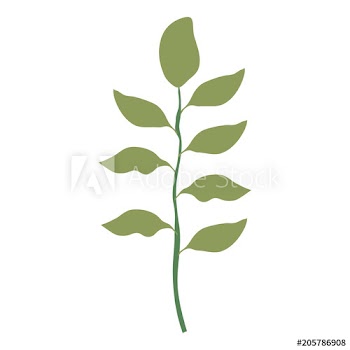 branch with leafs decorative design